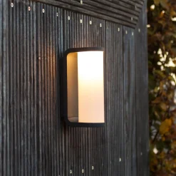 LUTEC Adalyn udendørs LED-væglampe