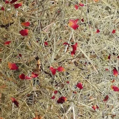 Almut von Wildheim ALMUT 2610 bordlampe, hø med røde rosenblade