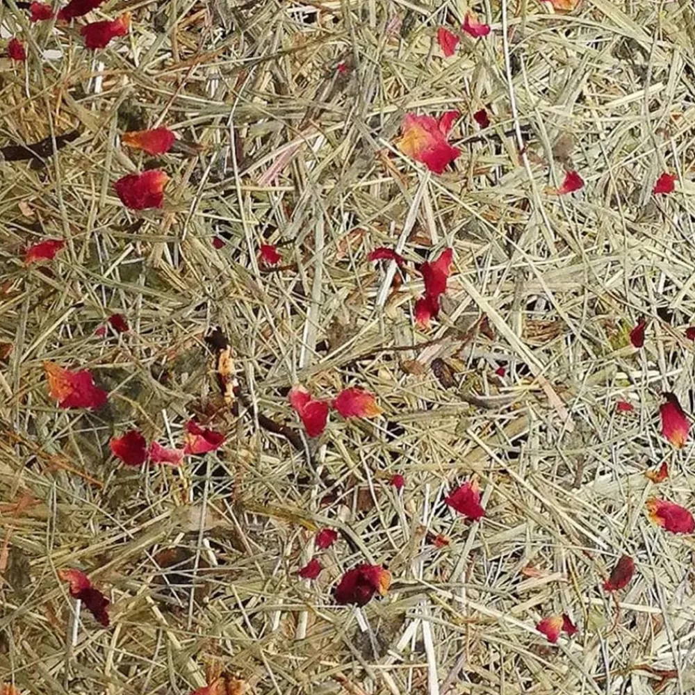 Almut von Wildheim ALMUT 2610 bordlampe, hø med røde rosenblade