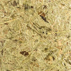 ALMUT 2610-væglampe Ø 25 cm, hø^Almut von Wildheim Online