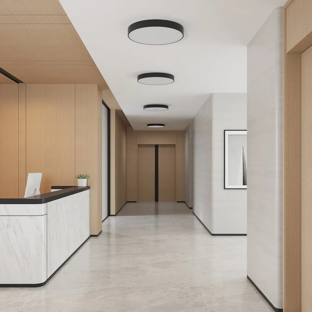 Arcchio Loftlamper|Loftlamper>LED-loftlampe Vanida, sort, Ø 60 cm, op/ned