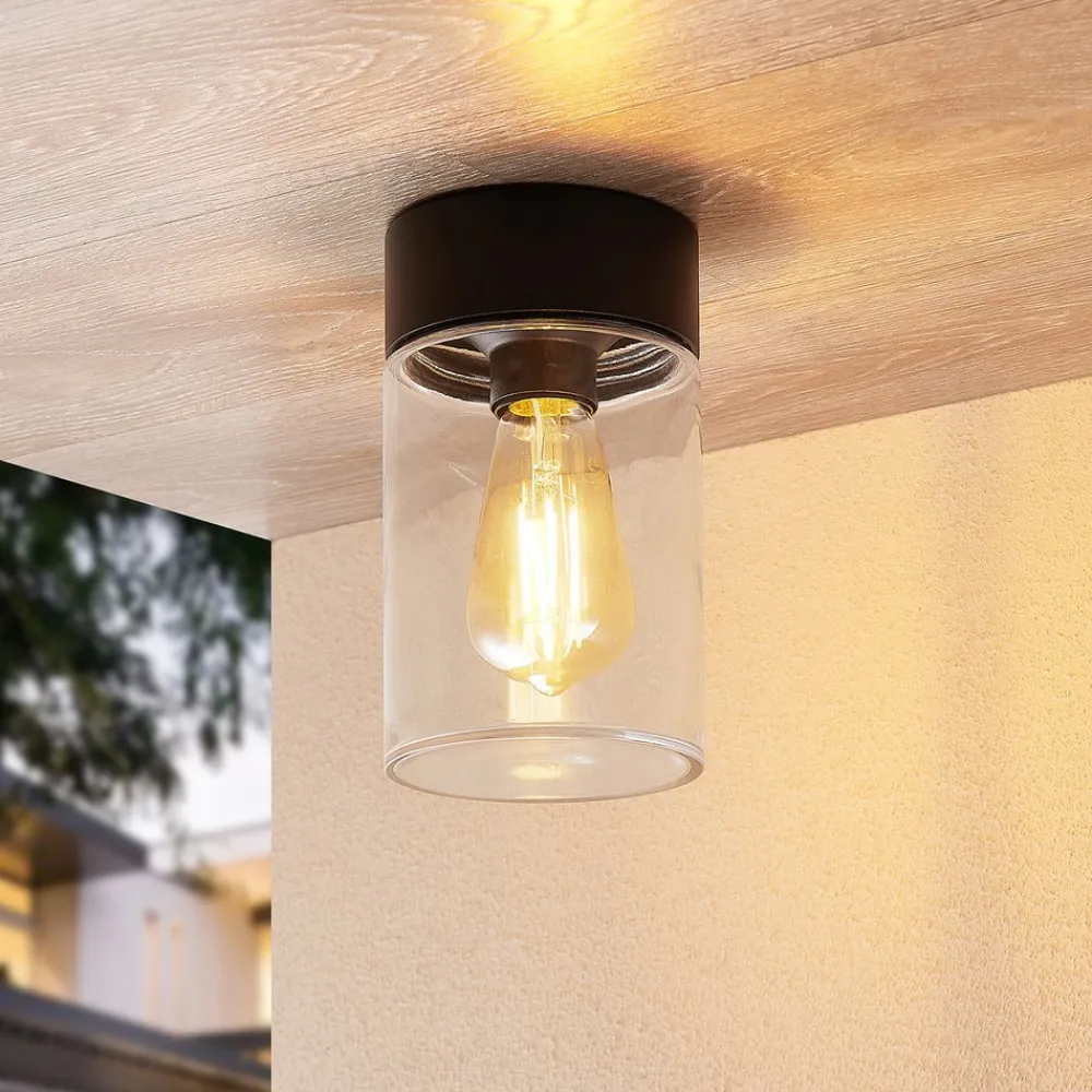 Arcchio Udendørs Loftlamper>Liljana udendørs loftslampe, IP65, sort