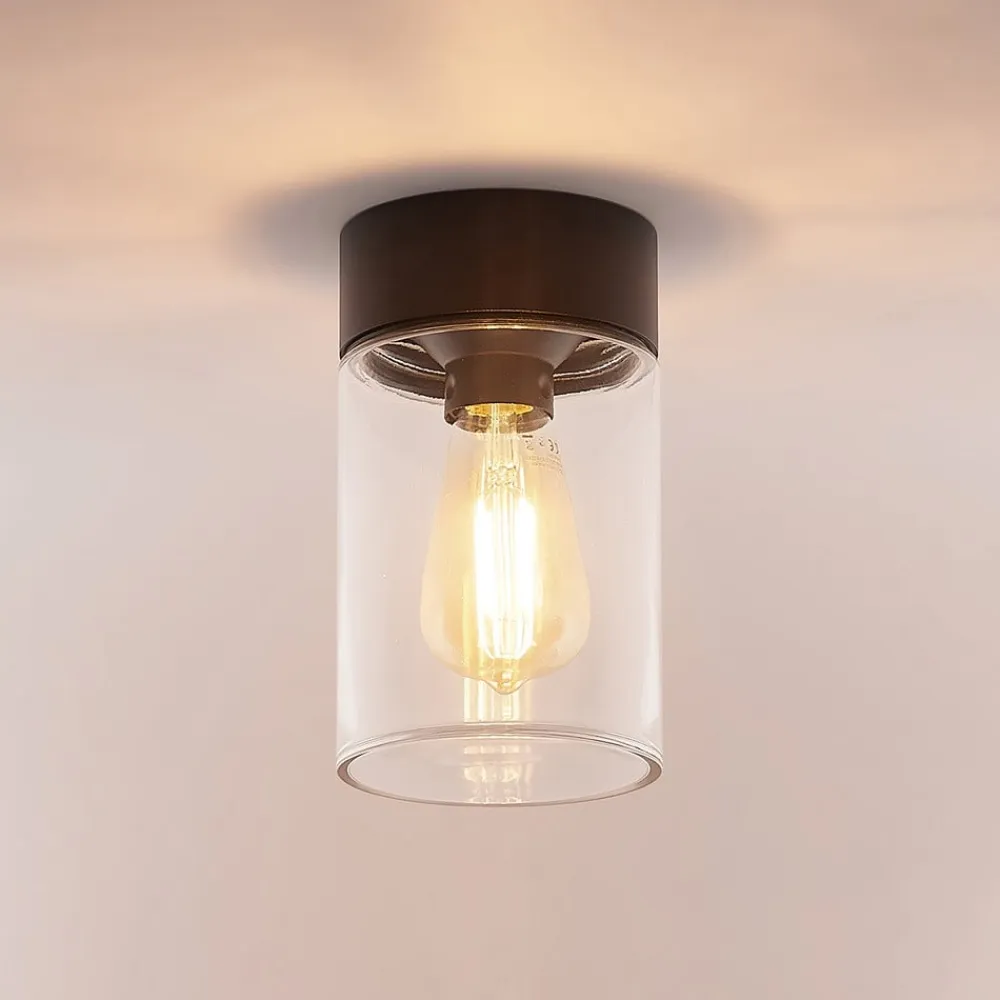 Arcchio Udendørs Loftlamper>Liljana udendørs loftslampe, IP65, sort