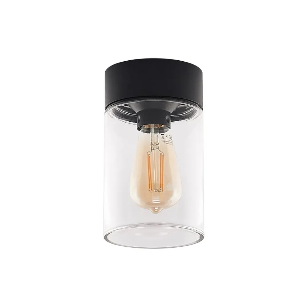 Arcchio Udendørs Loftlamper>Liljana udendørs loftslampe, IP65, sort