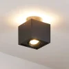 Arcchio Spotlights>loftlampe Walisa, 10 x 10 cm, sort, GU10