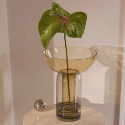 Vase Torus, ravfarvet, Ø 25 cm, højde 33 cm, glas^AYTM Discount