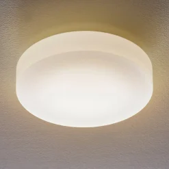 BEGA 50651 LED-loftlampe opalglas 3.000K Ø34cm
