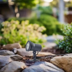 BEGA udendørs spotlampe 85009, grafit, støbt aluminium, stik