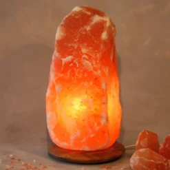 Wagner Life Belyst saltkrystal Rock med træsokkel