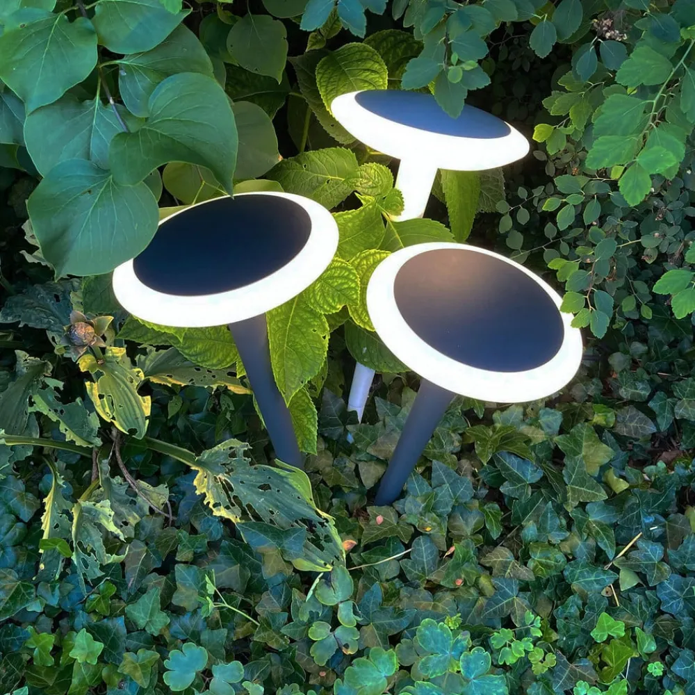 Deko-Light Bermuda LED-sokkellampe med jordspyd, sortgrå