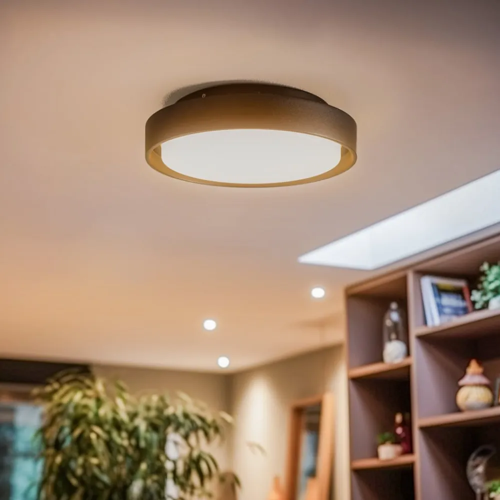 BRUMBERG Loftlamper>60107 LED-loftlampe, rund