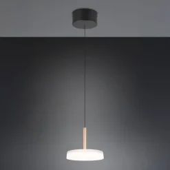 Trio Lighting Celeste LED-hængelampe, hvid/brun, Ø 22 cm, glas, dæmpbar