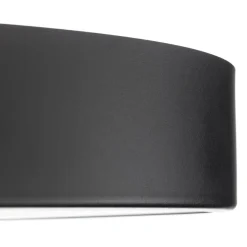 TEMAR LIGHTING Cleo loftlampe med glasdiffusor, sort, Ø 78 cm