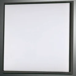 Fabas Luce Loftlamper>Desdy LED-loftlampe, 30 x 30 cm, IP54, sort