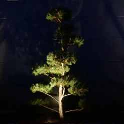 dot-spot Udendørs Spot>Clarios Mini spotlight med jordspyd Basic Set