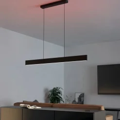 connect LED-hængelampe Andreas-Z, sort, stål^EGLO New