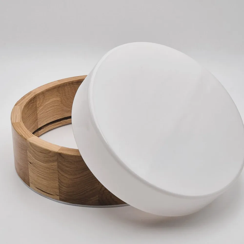 Envostar Loftlamper>Caspian loftlampe, Ø 27 cm, IP54, eg