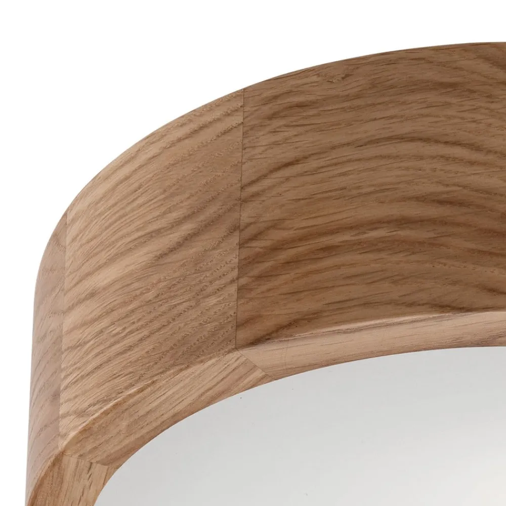 Envostar Loftlamper>Caspian loftlampe, Ø 27 cm, IP54, eg