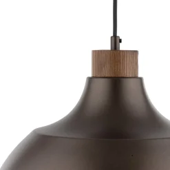 Envostar Pendellamper><noscript><img width=