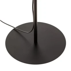 Veneer gulvlampe, kerneved ask^Envostar Hot