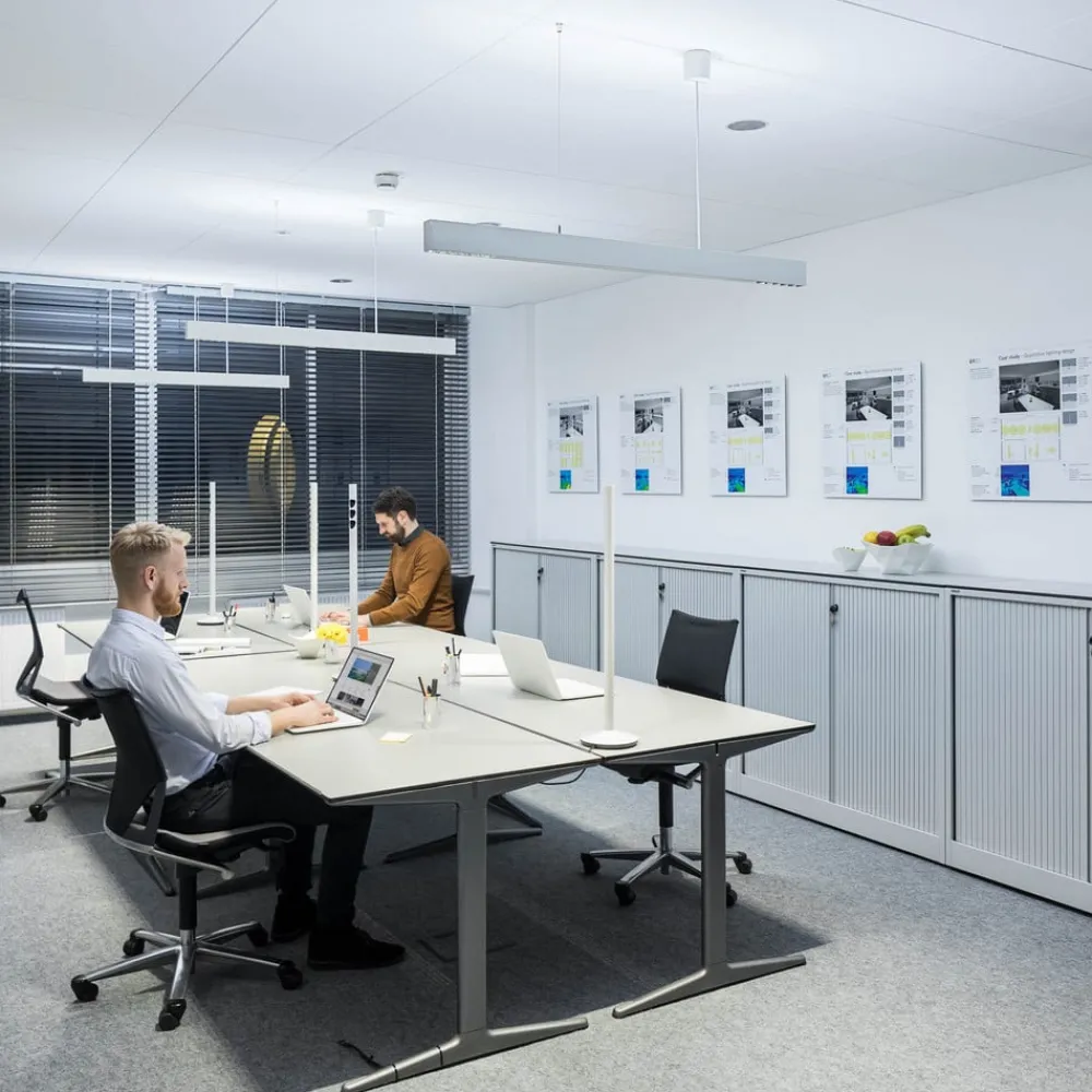 ERCO Skinnesystem>Compar P DALI up/down oval wide hvid/sølv 930