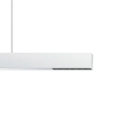 ERCO Skinnesystem>Compar P DALI up/down oval wide hvid/sort 940