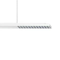 ERCO Jilly P DALI up/down oval wide hvid/sølv 840