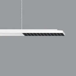 ERCO Skinnesystem>Jilly P DALI up/down, oval wide hvid/sort 840