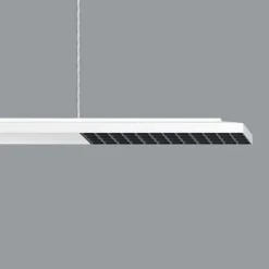 ERCO Jilly P DALI up/down, oval wide hvid/sort 830