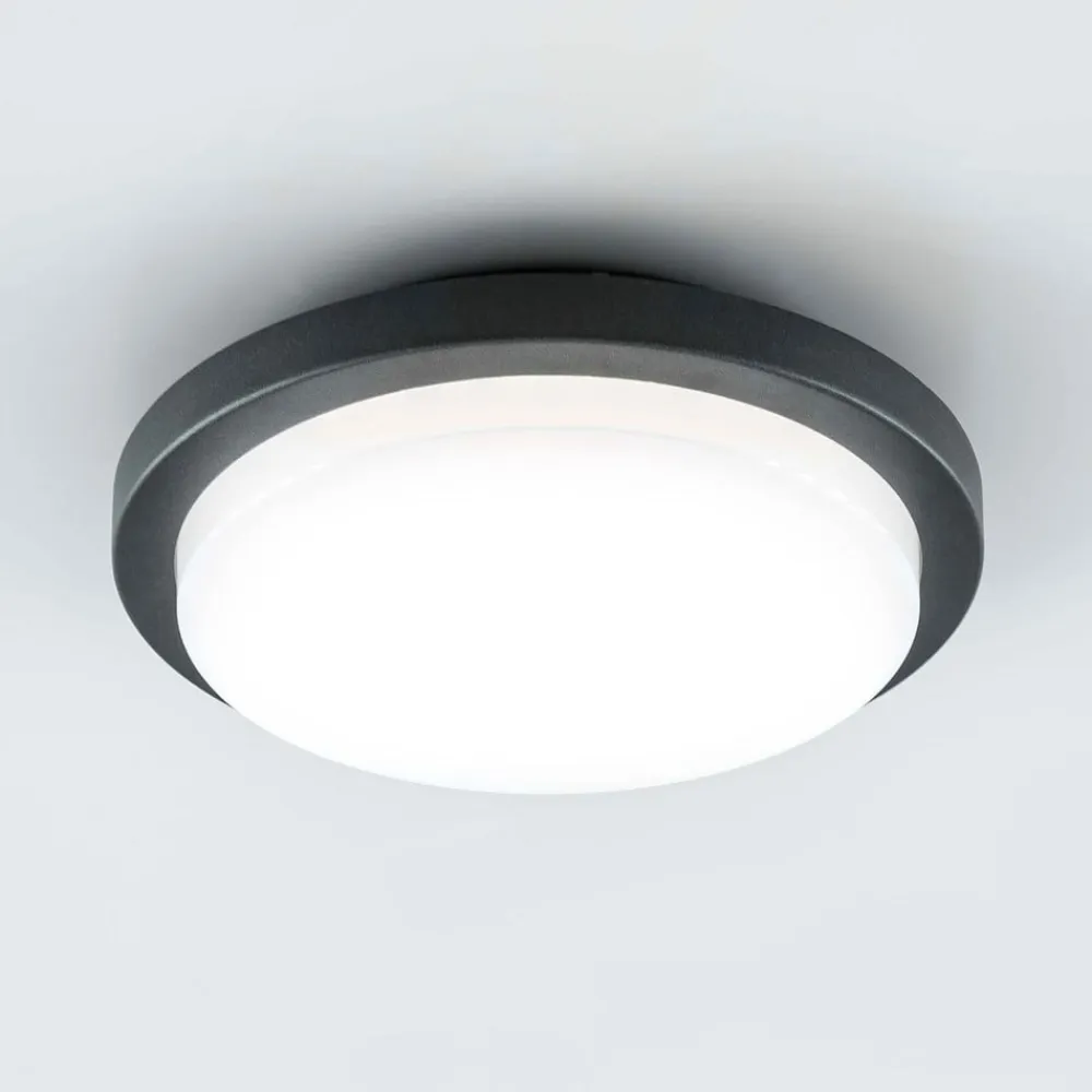 Tectum LED udendørs loftlampe, rund, Ø 24,6 cm^EVN