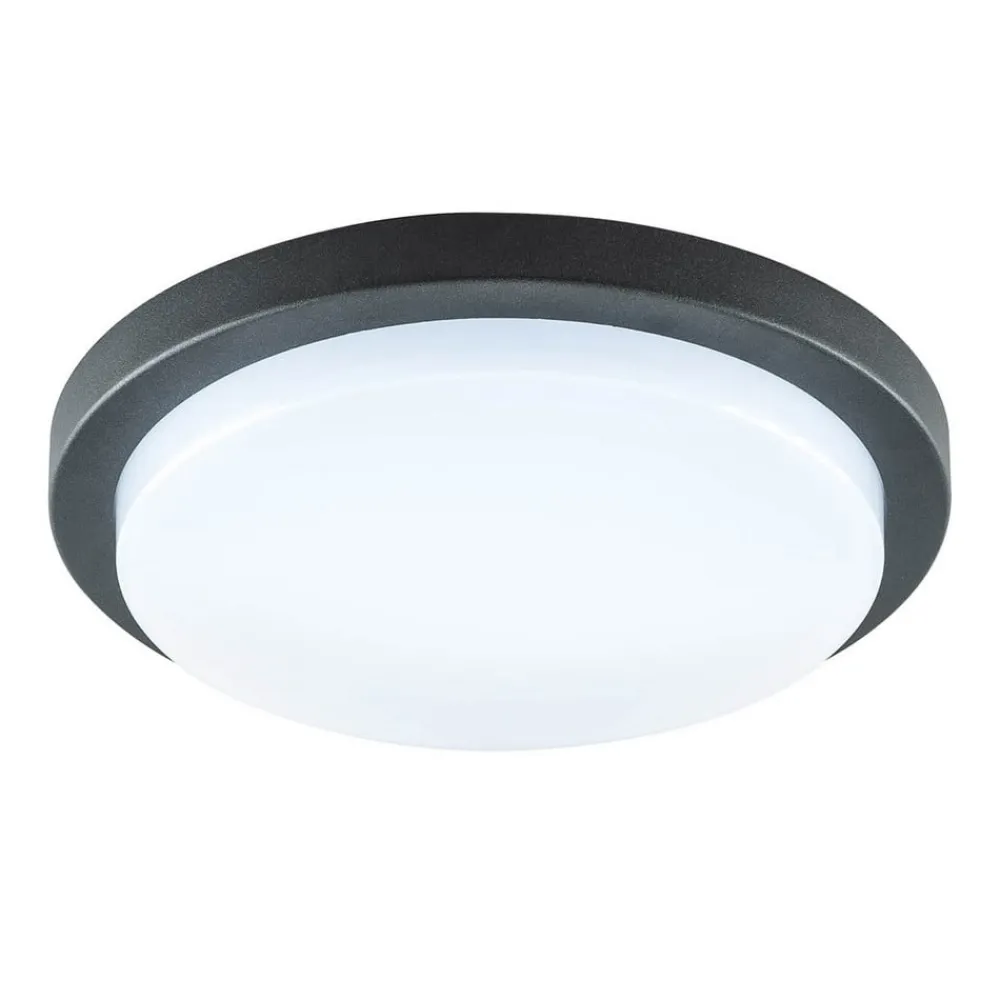Tectum LED udendørs loftlampe, rund, Ø 24,6 cm^EVN