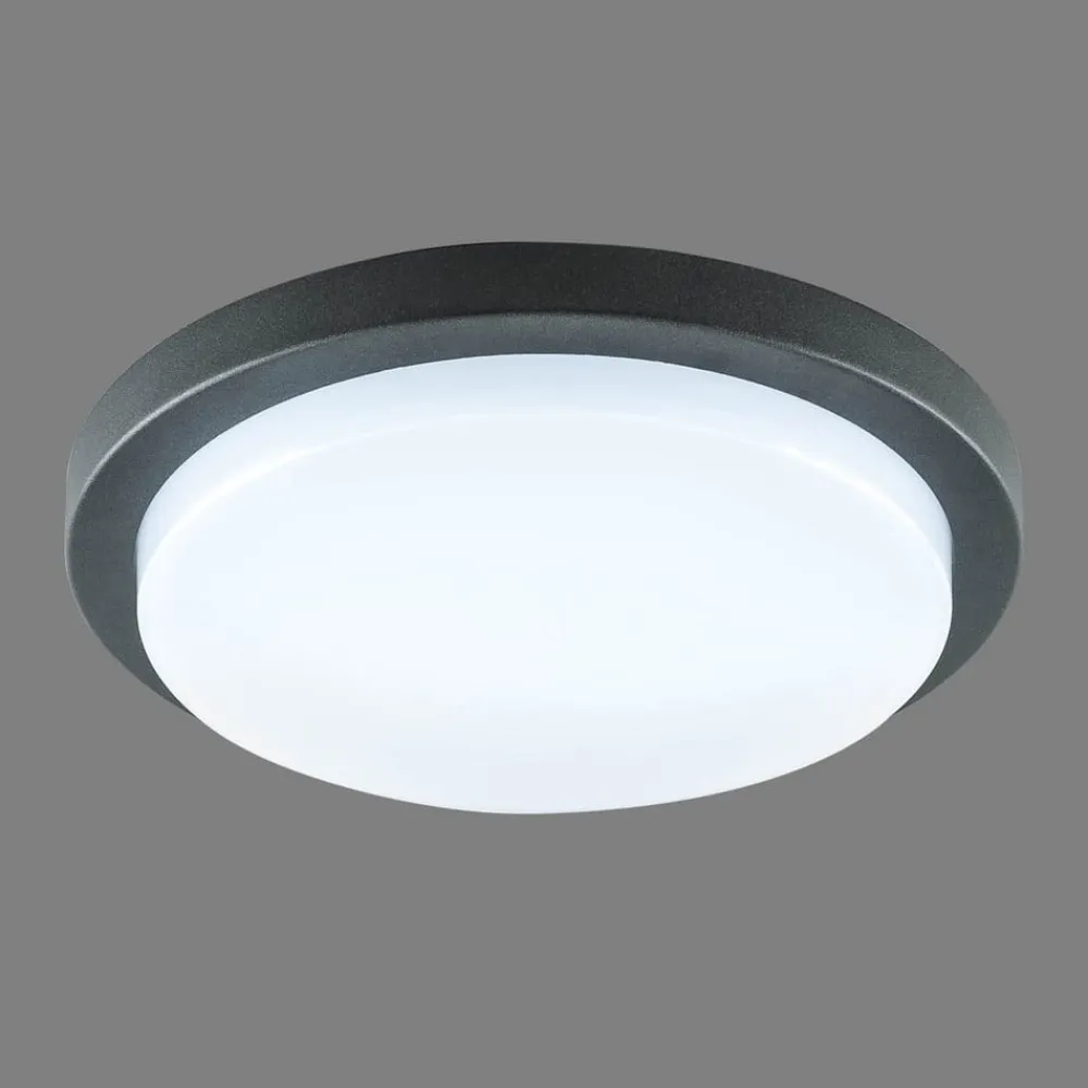 Tectum LED udendørs loftlampe, rund, Ø 24,6 cm^EVN