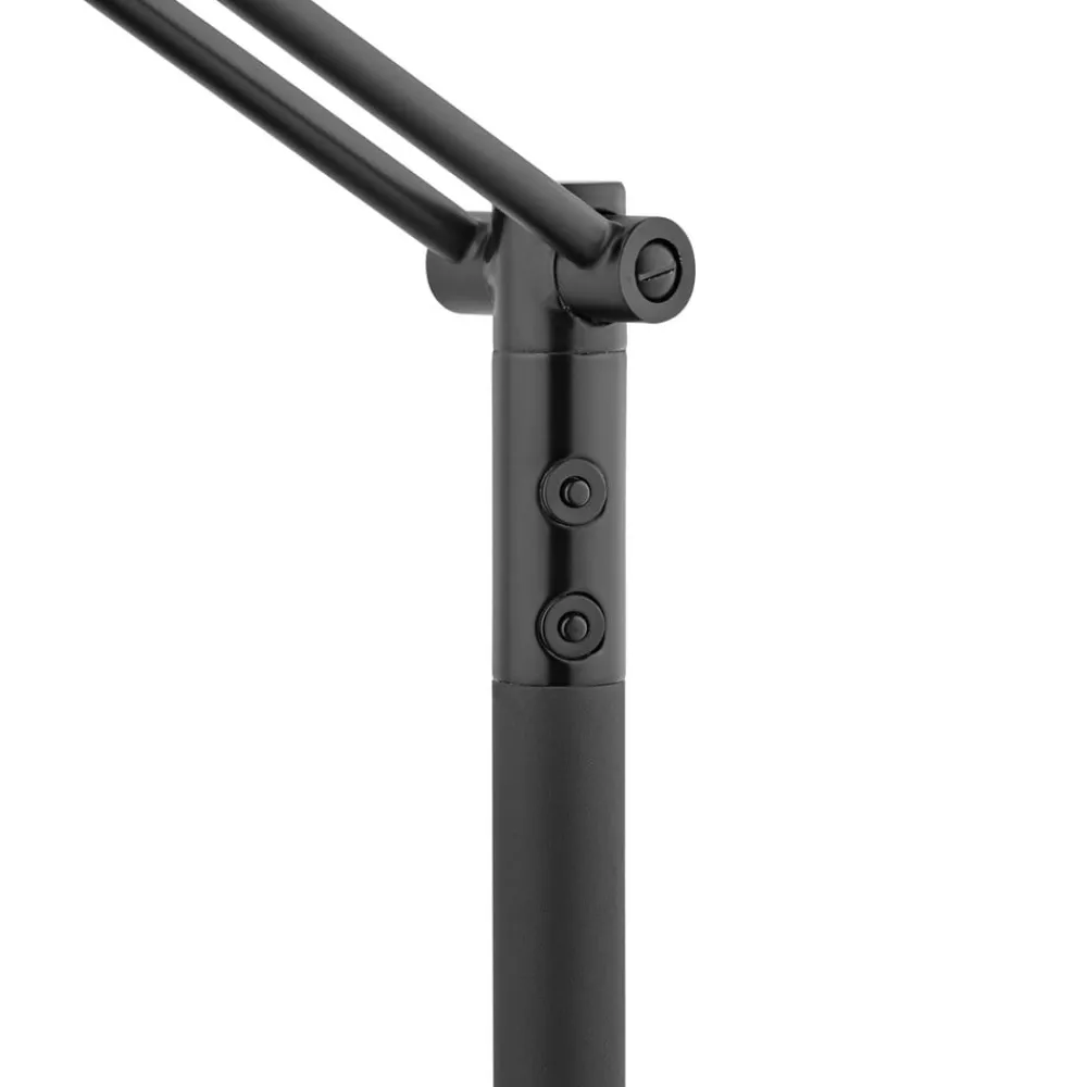 HELL Gulvlamper>Evolo LED-buelampe CCT, sort