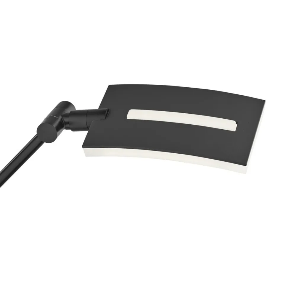 HELL Gulvlamper>Evolo LED-buelampe CCT, sort