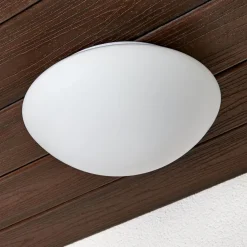 Searchlight Glas-udendørs væglampe Tokyo 28 cm IP44