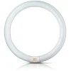 Philips Lysstofrør>G10q 32W 840 ring-lysstofrør Master Circular TL-E