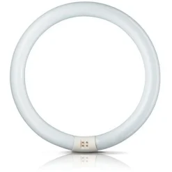 Philips Lysstofrør>G10q 32W 840 ring-lysstofrør Master Circular TL-E