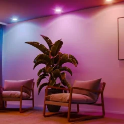 Hama Smart LED-pære klar GU10 WLAN Matter 4,9 W RGBW