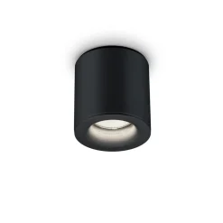 Helestra Udendørs Loftlamper>Lot udendørs loftlampe, IP65, sort