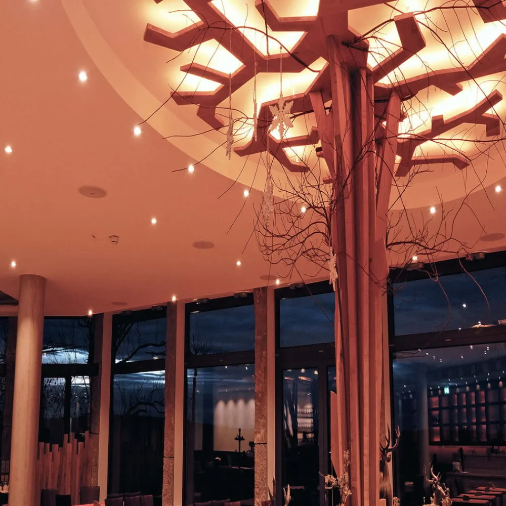 Deko-Light Indbygget loftlampe med LED SMD 68 230V, hvid 2.700 K