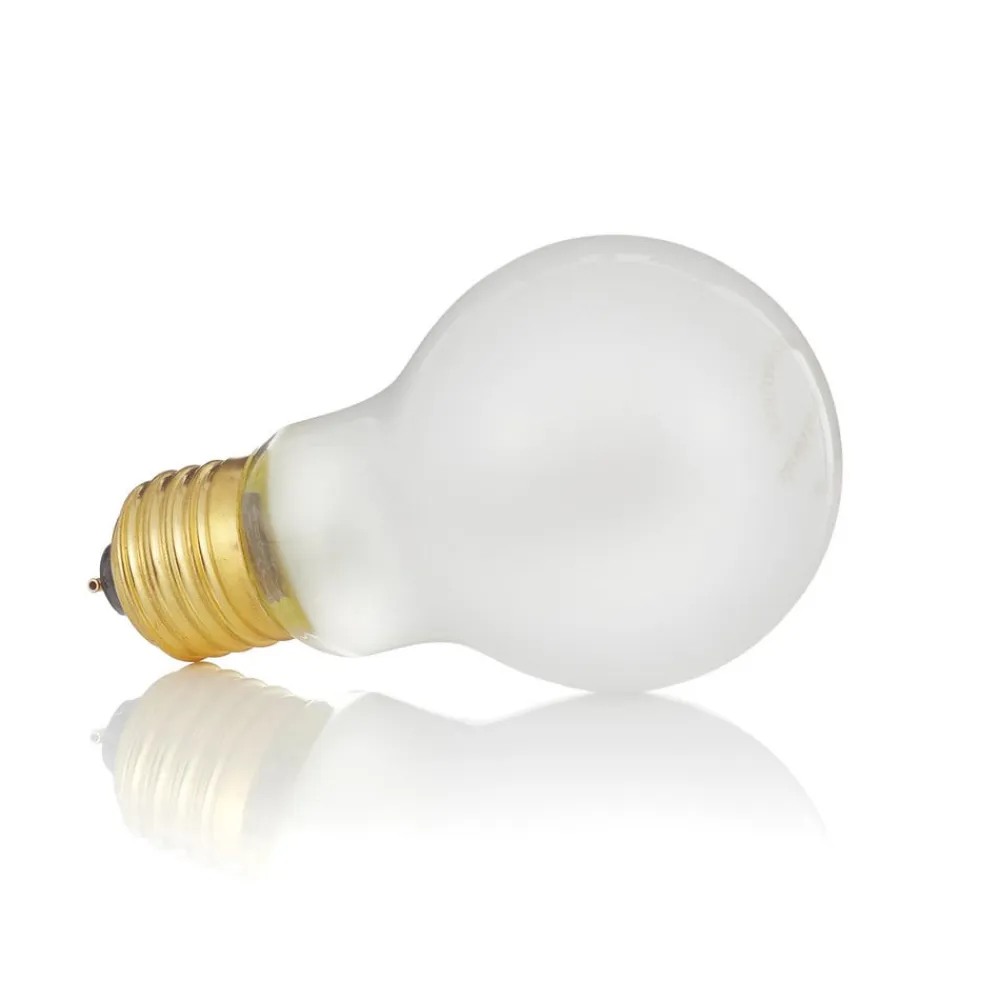 Lucellino NT LED-væglampe^Ingo Maurer Online