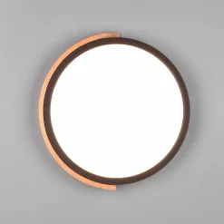 Reality Leuchten Jano LED-loftlampe, Ø 31,5 cm, 3.000 K, sort