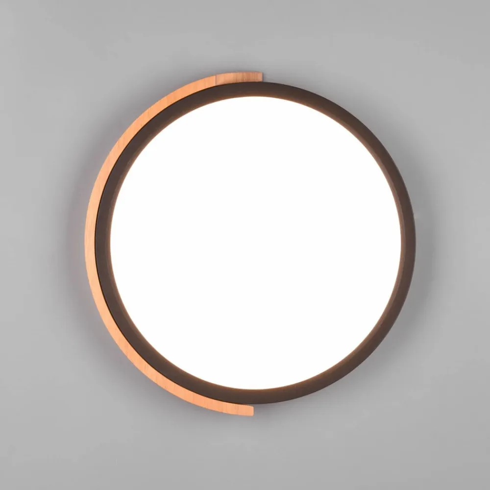 Reality Leuchten Jano LED-loftlampe, Ø 31,5 cm, 3.000 K, sort