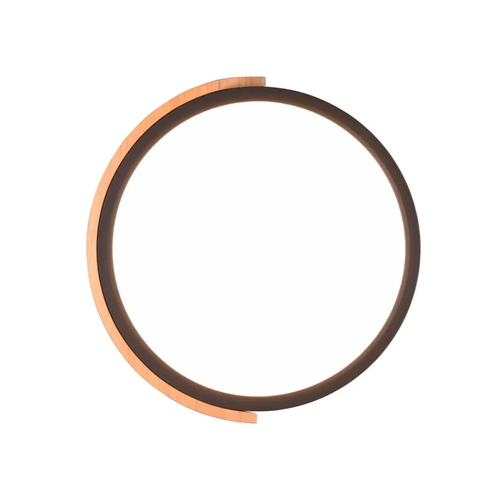 Reality Leuchten Jano LED-loftlampe, Ø 31,5 cm, 3.000 K, sort