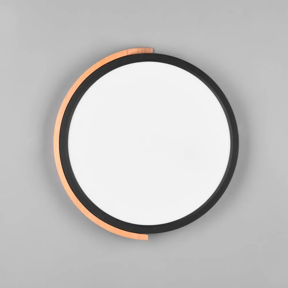 Reality Leuchten Jano LED-loftlampe, Ø 31,5 cm, 3.000 K, sort