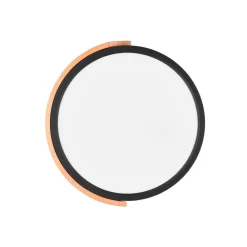 Reality Leuchten Jano LED-loftlampe, Ø 31,5 cm, 3.000 K, sort