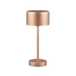 Jeff LED genopladelig bordlampe, kaffe, højde 30 cm, metal^Reality Leuchten Clearance