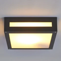 Lucande Udendørs Loftlamper>Kantet udendørslampe Nerea