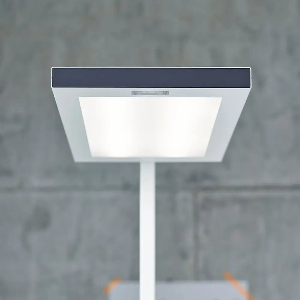 Lavigo DPS 14000, 4.000K LED-gulvlampe, hvid^Waldmann Clearance