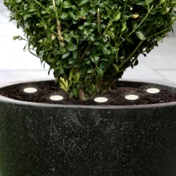 EGLO LED jordlys Spinetoli 2, sæt med 6 med jordspyd